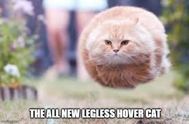 meme by Brad legless hover cat | THE ALL NEW LEGLESS HOVER CAT | image tagged in cats,cat memes,funny cat memes,humor,funny,cat | made w/ Imgflip meme maker