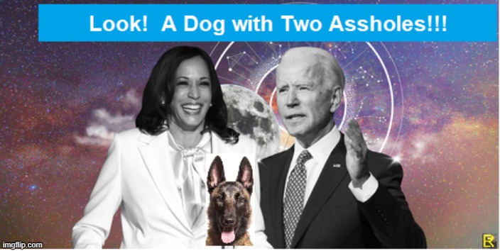 Dog Show | made w/ Imgflip meme maker