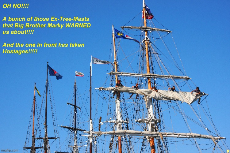 Ex-Tree-Masts | image tagged in patriots | made w/ Imgflip meme maker