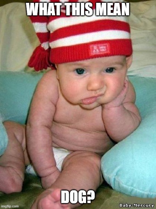 bored baby | WHAT THIS MEAN DOG? | image tagged in bored baby | made w/ Imgflip meme maker