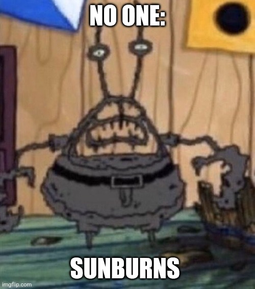 Sunburns suck | NO ONE:; SUNBURNS | image tagged in incinerated mr krabs,jpfan102504 | made w/ Imgflip meme maker