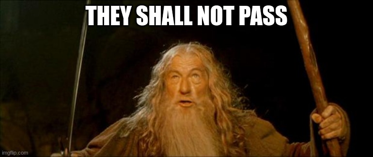 gandalf you shall not pass | THEY SHALL NOT PASS | image tagged in gandalf you shall not pass | made w/ Imgflip meme maker