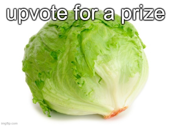 the prize is lots of points (you must comment) | upvote for a prize | image tagged in lettuce | made w/ Imgflip meme maker