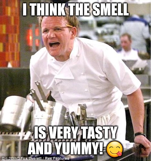 I THINK THE SMELL IS VERY TASTY AND YUMMY! ? | image tagged in memes,chef gordon ramsay | made w/ Imgflip meme maker