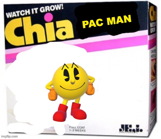 rejected chia pets volume 11 | PAC MAN | image tagged in chia pet blank,pac man,fake | made w/ Imgflip meme maker