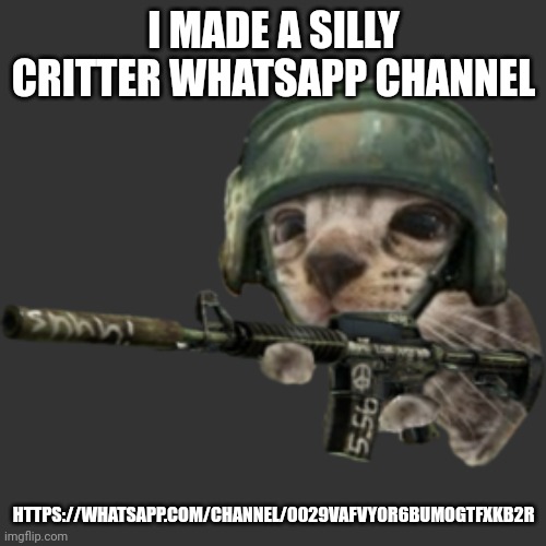 silly critter | I MADE A SILLY CRITTER WHATSAPP CHANNEL; HTTPS://WHATSAPP.COM/CHANNEL/0029VAFVY0R6BUMOGTFXKB2R | image tagged in silly critter | made w/ Imgflip meme maker