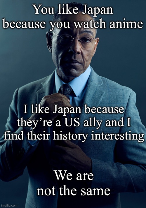 stop watching anime and start watching documentaries about feudal Japan | You like Japan because you watch anime; I like Japan because they’re a US ally and I find their history interesting; We are not the same | image tagged in gus fring we are not the same | made w/ Imgflip meme maker