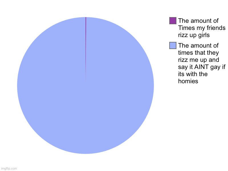 It’s happened so many times | The amount of times that they rizz me up and say it AINT gay if its with the homies, The amount of Times my friends rizz up girls | image tagged in charts,pie charts,homie | made w/ Imgflip chart maker