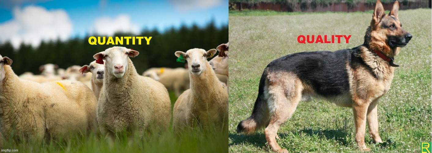 quanity vs QUALITITY | image tagged in sheeple | made w/ Imgflip meme maker