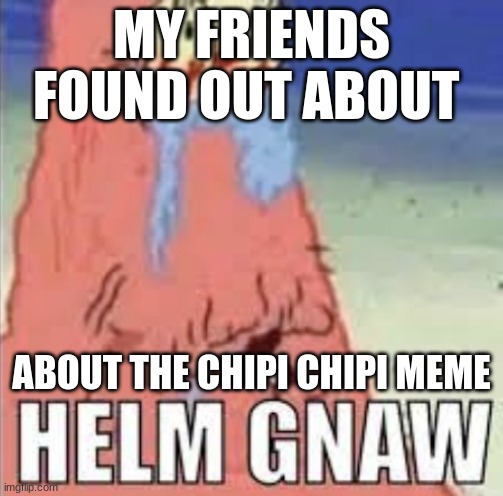 i knew before them | MY FRIENDS FOUND OUT ABOUT; ABOUT THE CHIPI CHIPI MEME | image tagged in helm gnaw | made w/ Imgflip meme maker