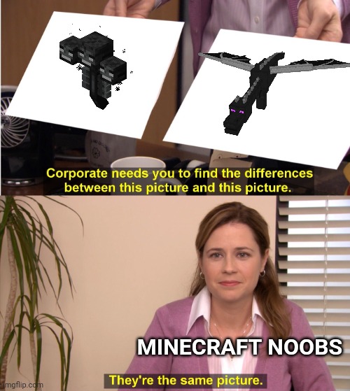 So true | MINECRAFT NOOBS | image tagged in memes,they're the same picture | made w/ Imgflip meme maker