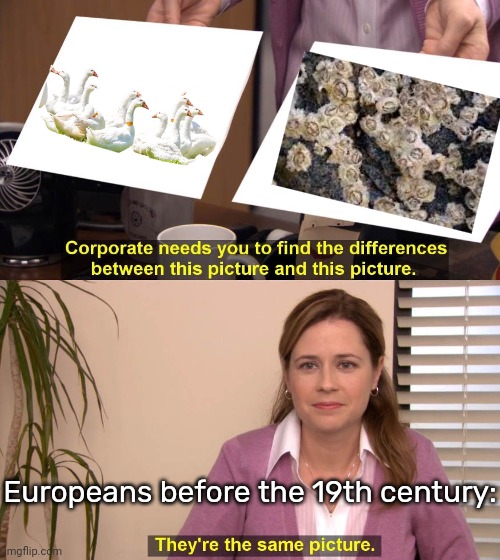 They actually had the idea that geese grew out of barnacles. | Europeans before the 19th century: | image tagged in they're the same picture,evolution,misunderstanding,funny animal meme | made w/ Imgflip meme maker