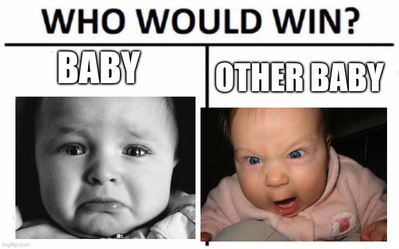 Who Would Win? Meme | BABY; OTHER BABY | image tagged in memes,who would win | made w/ Imgflip meme maker