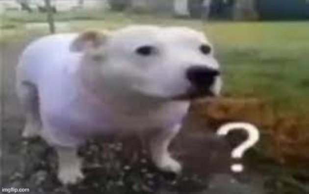 ? dog | image tagged in dog | made w/ Imgflip meme maker