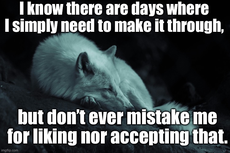 Make it through | I know there are days where I simply need to make it through, but don’t ever mistake me for liking nor accepting that. | image tagged in unacceptable,acceptance,like,days,bad day | made w/ Imgflip meme maker