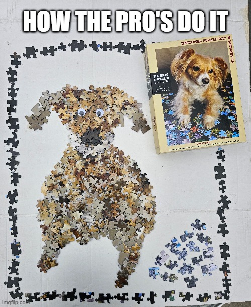 Professional Jigsaw Player | HOW THE PRO'S DO IT | image tagged in dogs,dog,jigsaw puzzle,jigsaw | made w/ Imgflip meme maker