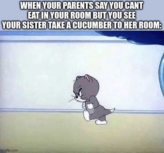 (S: HOLD UP-) | WHEN YOUR PARENTS SAY YOU CANT EAT IN YOUR ROOM BUT YOU SEE YOUR SISTER TAKE A CUCUMBER TO HER ROOM: | image tagged in angry cat tom and jerry | made w/ Imgflip meme maker