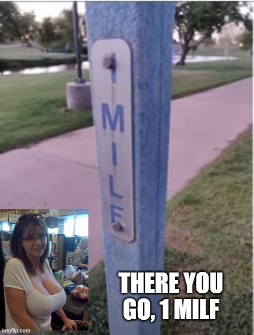 1 Milf | THERE YOU GO, 1 MILF | image tagged in you had one job | made w/ Imgflip meme maker