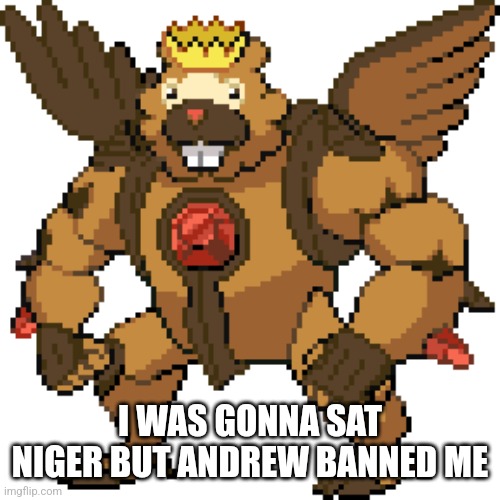 GOD BIDOOF | I WAS GONNA SAT NIGER BUT ANDREW BANNED ME | image tagged in god bidoof | made w/ Imgflip meme maker