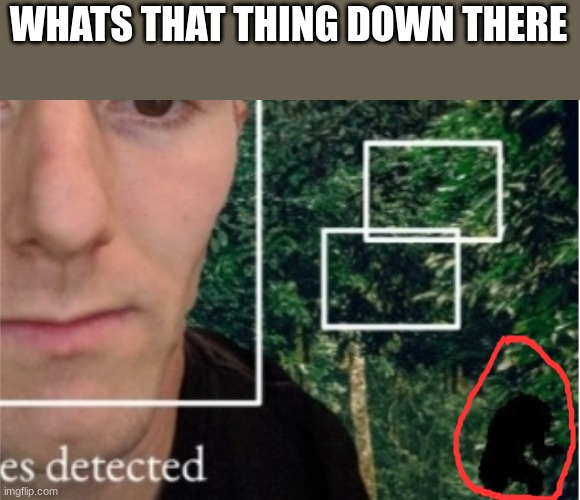 WHATS THAT THING DOWN THERE | made w/ Imgflip meme maker