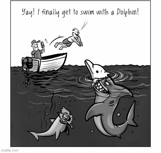 Swim with the Dolphins | image tagged in comics | made w/ Imgflip meme maker