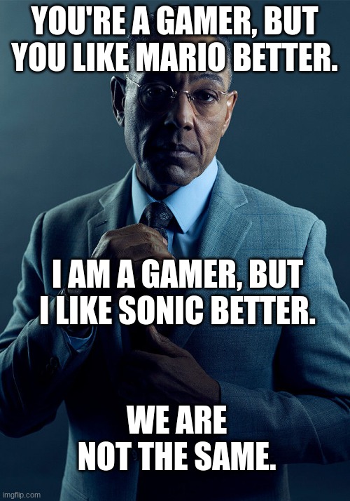 Every gamer kid in the 90s | YOU'RE A GAMER, BUT YOU LIKE MARIO BETTER. I AM A GAMER, BUT I LIKE SONIC BETTER. WE ARE NOT THE SAME. | image tagged in gus fring we are not the same | made w/ Imgflip meme maker