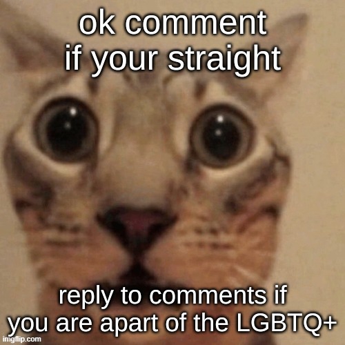 yuh | ok comment if your straight; reply to comments if you are apart of the LGBTQ+ | image tagged in in shock | made w/ Imgflip meme maker