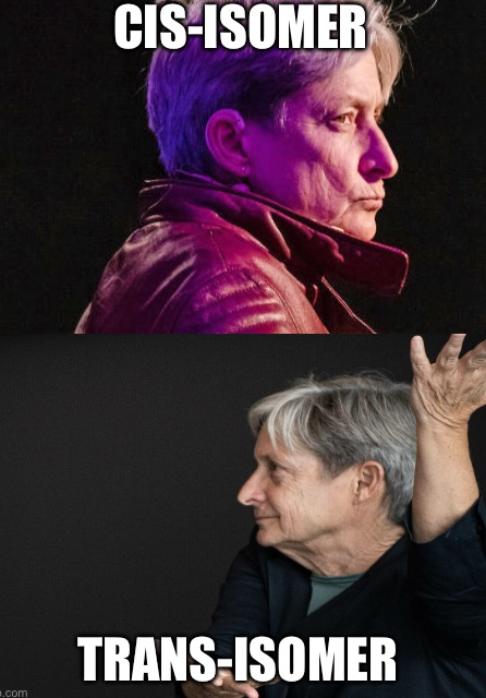 High Quality Judith Butler isomerization Blank Meme Template