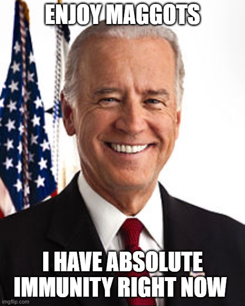 Joe Biden | ENJOY MAGGOTS; I HAVE ABSOLUTE IMMUNITY RIGHT NOW | image tagged in memes,joe biden | made w/ Imgflip meme maker