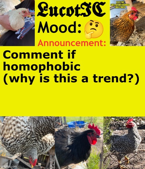 . | 🤔; Comment if homophobic
(why is this a trend?) | image tagged in lucotic's cocks announcement template | made w/ Imgflip meme maker