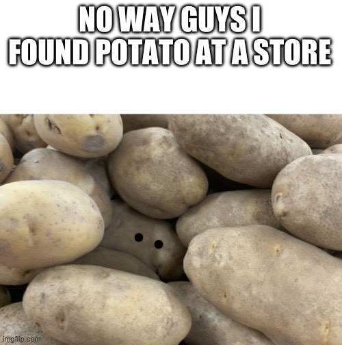 No way | NO WAY GUYS I FOUND POTATO AT A STORE | image tagged in potato | made w/ Imgflip meme maker