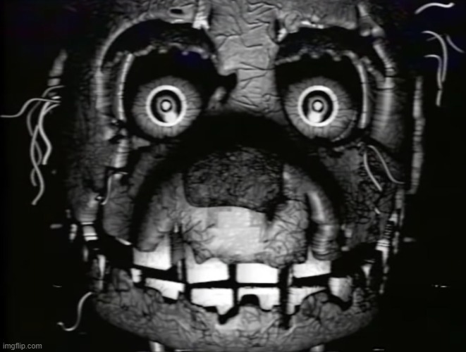 Springtrap vhs | image tagged in springtrap vhs | made w/ Imgflip meme maker