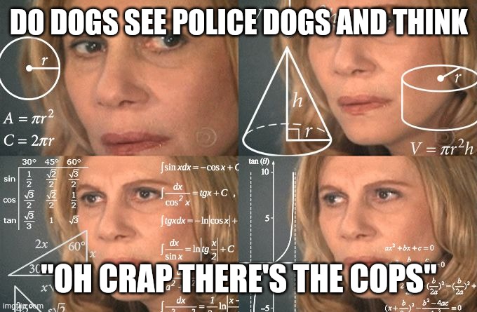 Calculating meme | DO DOGS SEE POLICE DOGS AND THINK; "OH CRAP THERE'S THE COPS" | image tagged in calculating meme | made w/ Imgflip meme maker