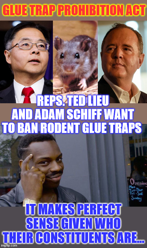 Democrats really know how to prioritize... Is this really what their voters are concerned about? | GLUE TRAP PROHIBITION ACT; REPS. TED LIEU AND ADAM SCHIFF WANT TO BAN RODENT GLUE TRAPS; IT MAKES PERFECT SENSE GIVEN WHO THEIR CONSTITUENTS ARE... | image tagged in memes,roll safe think about it,self preservation,democrat priorities,democrat voters need protection | made w/ Imgflip meme maker