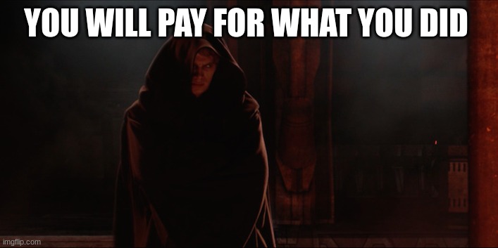 anakin skywalker | YOU WILL PAY FOR WHAT YOU DID | image tagged in anakin skywalker | made w/ Imgflip meme maker