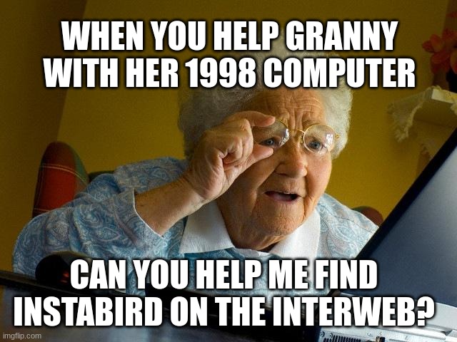 Grandma Finds The Internet | WHEN YOU HELP GRANNY WITH HER 1998 COMPUTER; CAN YOU HELP ME FIND INSTABIRD ON THE INTERWEB? | image tagged in memes,grandma finds the internet | made w/ Imgflip meme maker