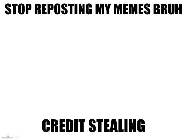 STOP REPOSTING MY MEMES BRUH; CREDIT STEALING | made w/ Imgflip meme maker