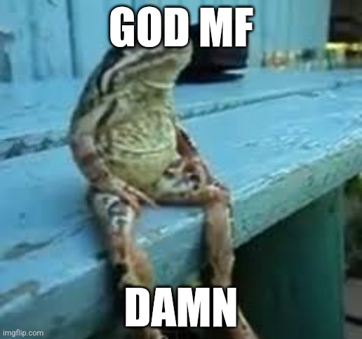 Frog Sit | GOD MF; DAMN | image tagged in frog sit | made w/ Imgflip meme maker
