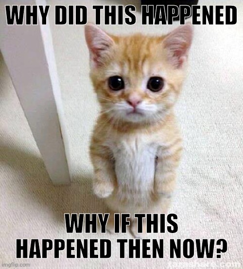 Cute Cat | WHY DID THIS HAPPENED; WHY IF THIS HAPPENED THEN NOW? | image tagged in memes,cute cat | made w/ Imgflip meme maker