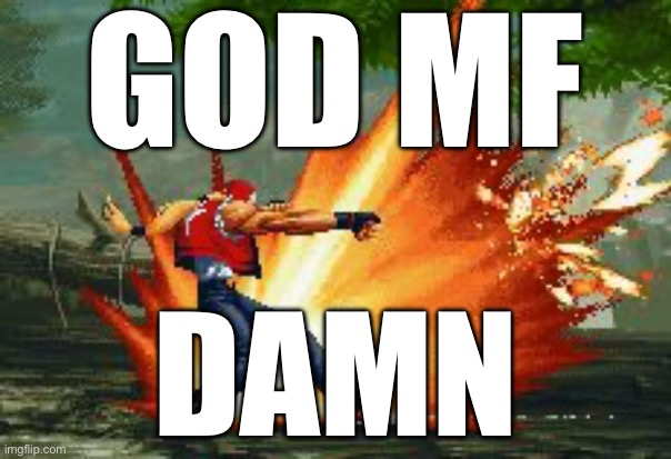 Terry Bogard | GOD MF; DAMN | image tagged in terry bogard | made w/ Imgflip meme maker