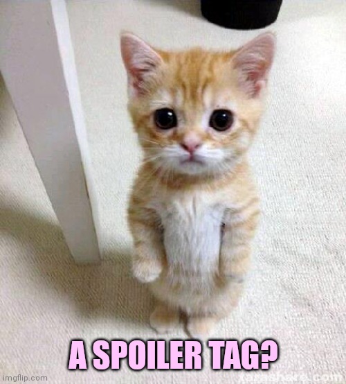 Cute Cat Meme | A SPOILER TAG? | image tagged in memes,cute cat | made w/ Imgflip meme maker