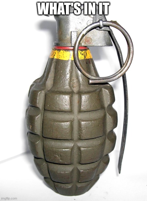 grenade | WHAT'S IN IT | image tagged in grenade | made w/ Imgflip meme maker