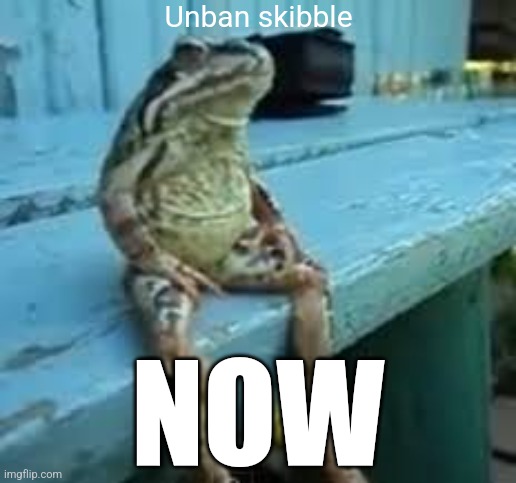 Frog Sit - Imgflip