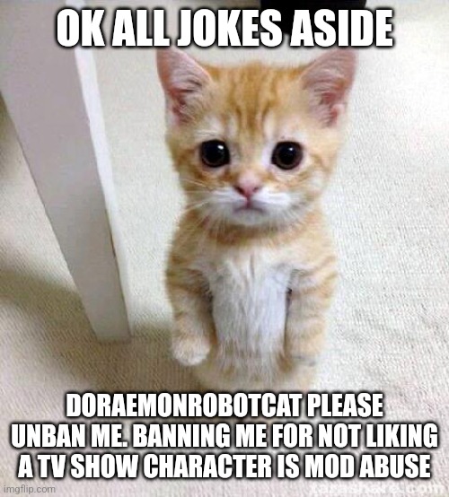 Cute Cat | OK ALL JOKES ASIDE; DORAEMONROBOTCAT PLEASE UNBAN ME. BANNING ME FOR NOT LIKING A TV SHOW CHARACTER IS MOD ABUSE | image tagged in memes,cute cat | made w/ Imgflip meme maker