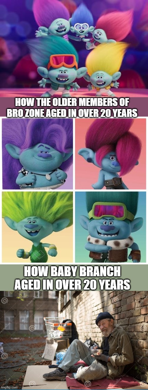 Trolls Badly aged Branch meme. | HOW THE OLDER MEMBERS OF BRO ZONE AGED IN OVER 20 YEARS; HOW BABY BRANCH AGED IN OVER 20 YEARS | image tagged in trolls memes,trolls branch memes | made w/ Imgflip meme maker