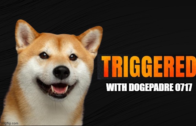I even report myself | WITH DOGEPADRE 0717 | image tagged in triggered,triggered feminist,triggered liberal,super_triggered,banned,doge | made w/ Imgflip meme maker