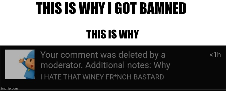 @darthswede | THIS IS WHY I GOT BAMNED; THIS IS WHY | made w/ Imgflip meme maker