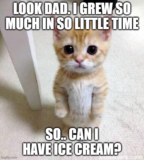 Cute Cat Meme | LOOK DAD. I GREW SO MUCH IN SO LITTLE TIME; SO.. CAN I HAVE ICE CREAM? | image tagged in memes,cute cat | made w/ Imgflip meme maker