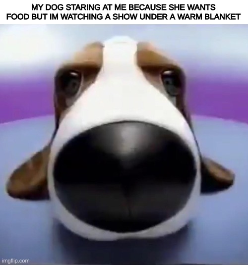 Its so warm. Choices were made | MY DOG STARING AT ME BECAUSE SHE WANTS FOOD BUT IM WATCHING A SHOW UNDER A WARM BLANKET | image tagged in staring dog | made w/ Imgflip meme maker