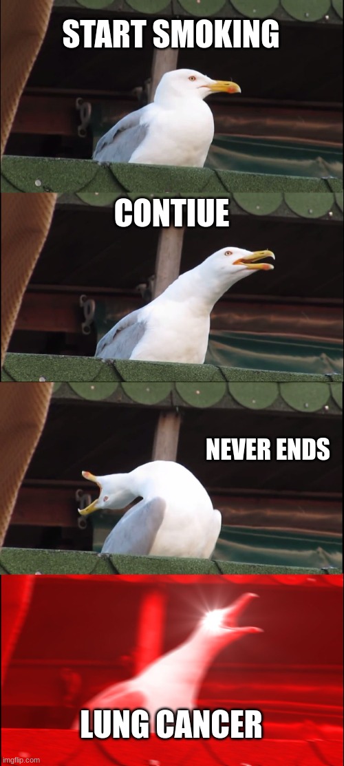 dont smoke | START SMOKING; CONTIUE; NEVER ENDS; LUNG CANCER | image tagged in memes,inhaling seagull | made w/ Imgflip meme maker